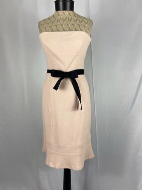 Lida Baday Bustier Dress Petal Color Size 4 NWT Formal
